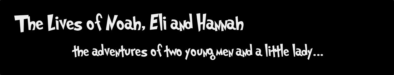 The Lives of Noah, Eli and Hannah